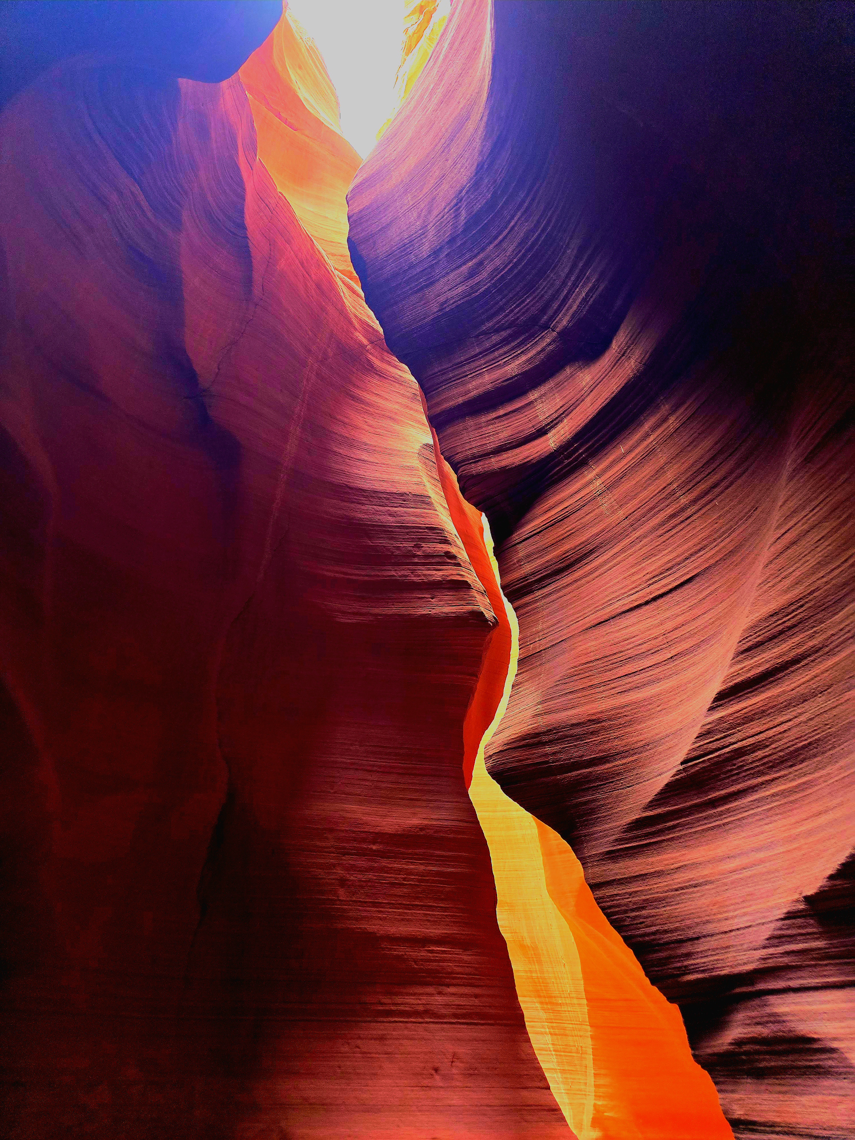Antelope X