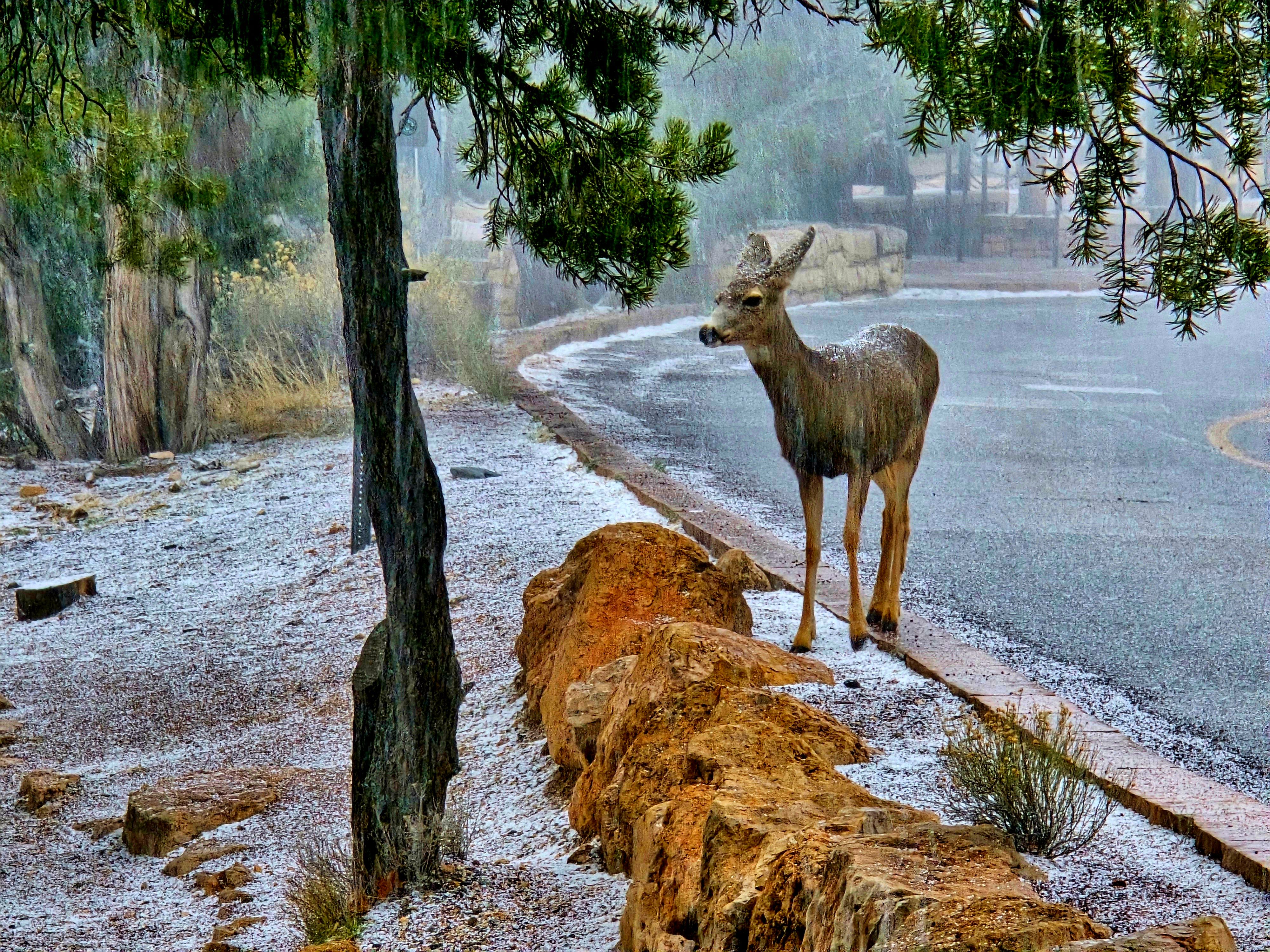 Grand Canyon National Park