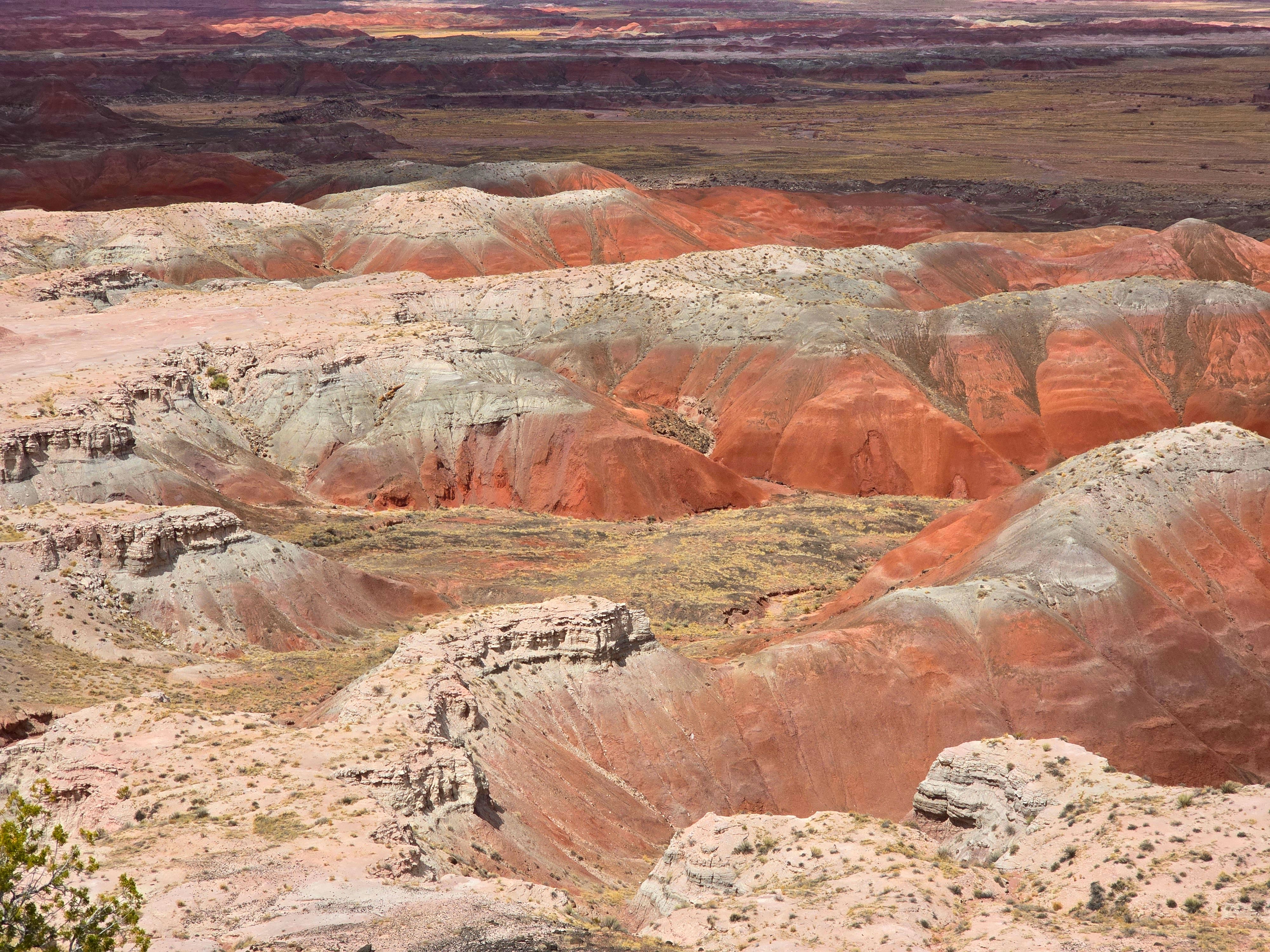 Painted Desert