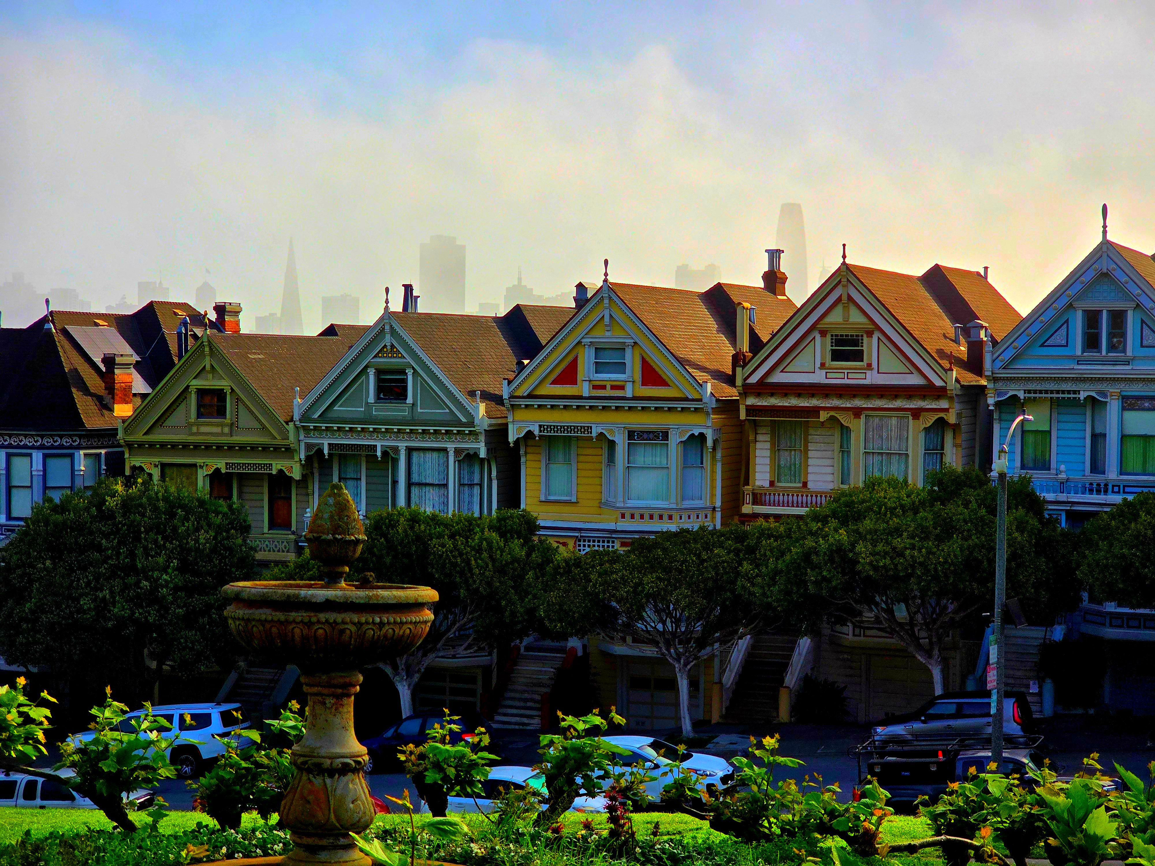 Painted Ladies