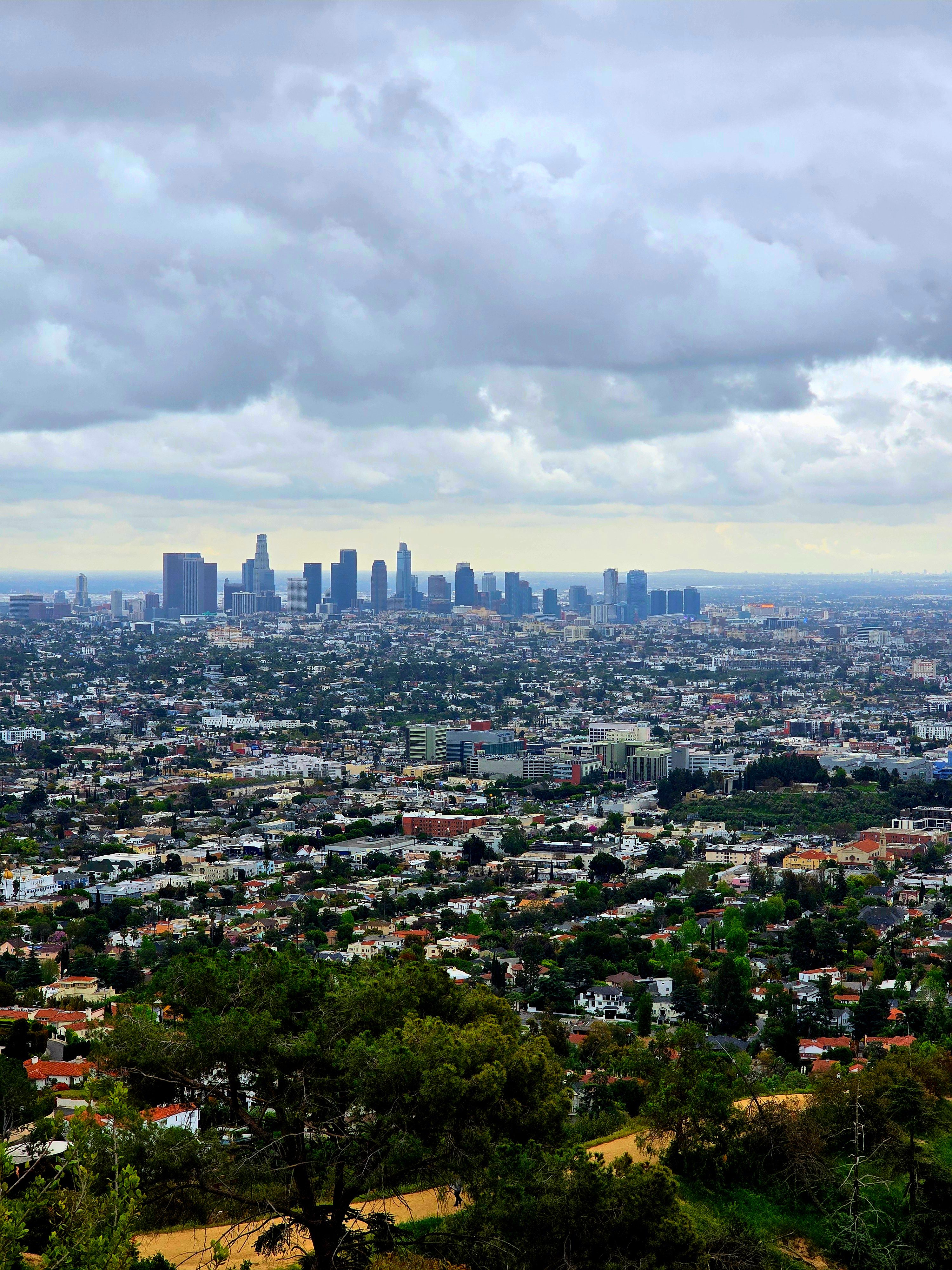 Los Angeles Skyline