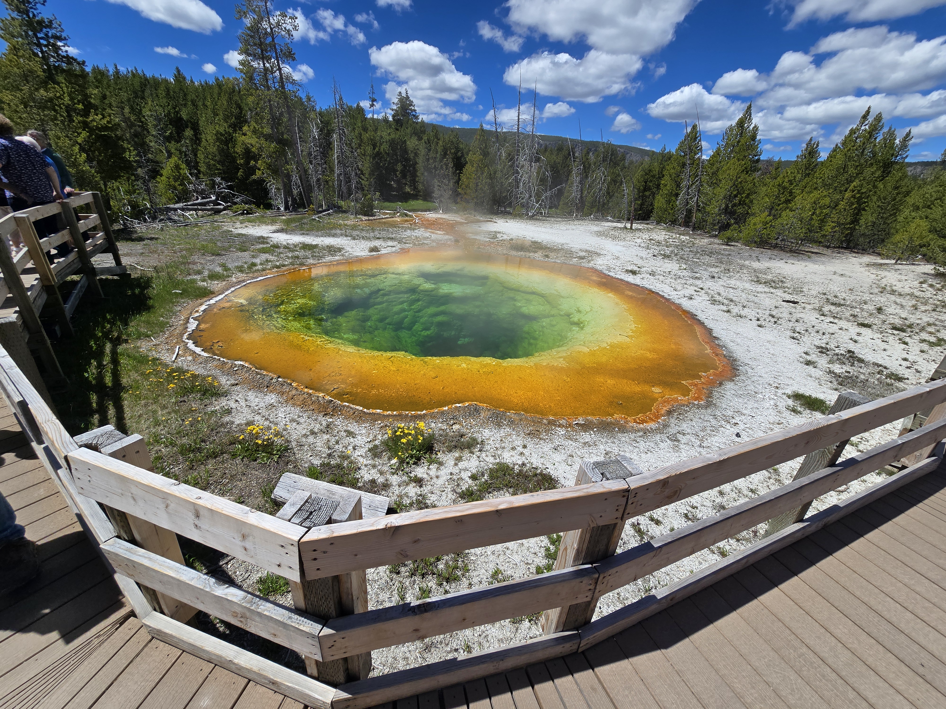 Grand Prismatic Spring